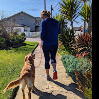 Dawgg City SF, LLC. - Photo 4 - Car repair in , Daly City