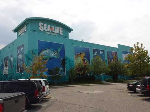 Aquarium «SEA LIFE Michigan Aquarium», reviews and photos, 4316 Baldwin Rd, Auburn Hills, MI 48326, USA