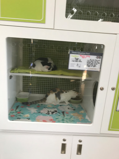 Petco