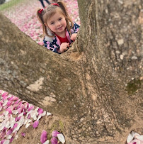 Appleville Academy - Photo 6 - Car repair in High Point, NC, Greensboro