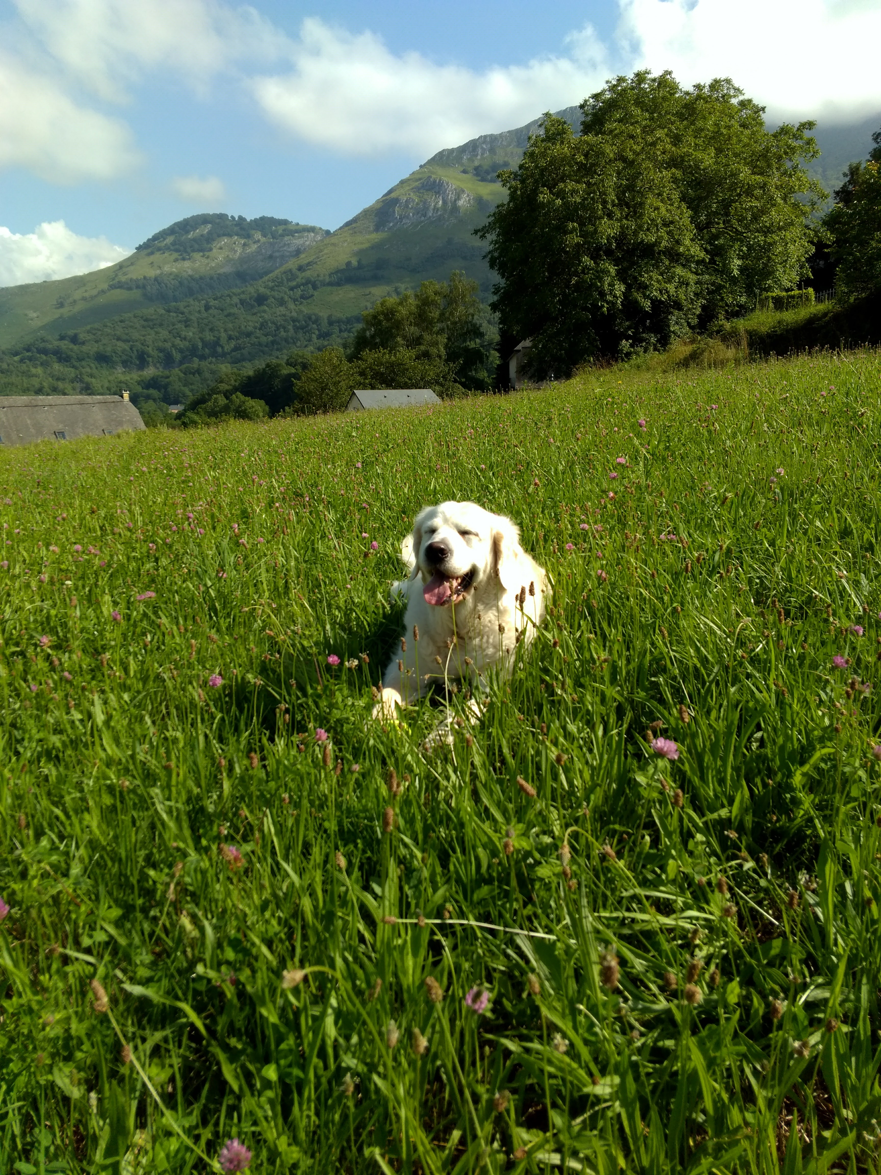 Photo n° 1 de l'avis de Mady.a fait le 30/08/2017 à 05:41