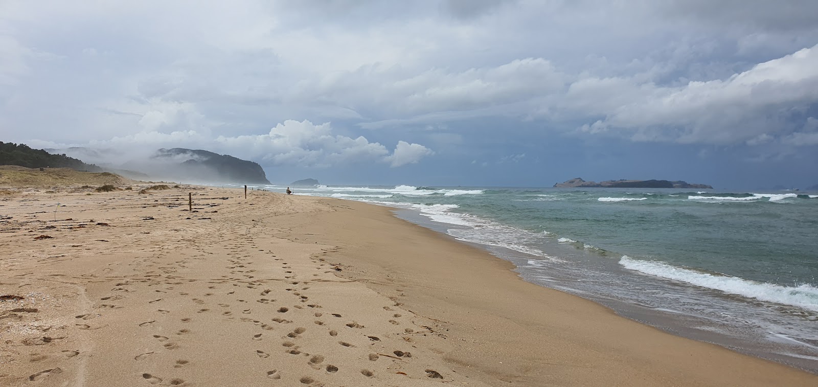 Foto von Opoutere Beach mit lange, gerade küste