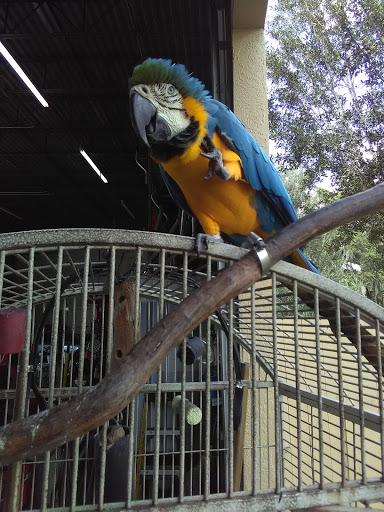 Auto Repair Shop «Meineke Car Care Center», reviews and photos, 606 E Brandon Blvd, Brandon, FL 33511, USA