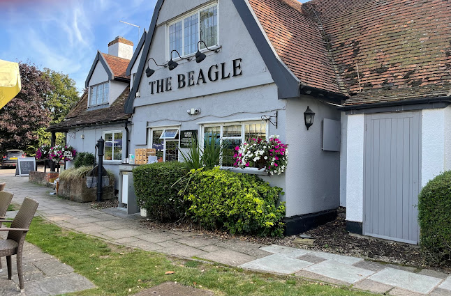 The Beagle - Pub