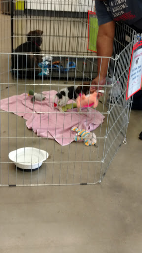 Pet Supply Store «Petco Animal Supplies», reviews and photos, 1011 University Blvd #100, Suffolk, VA 23435, USA