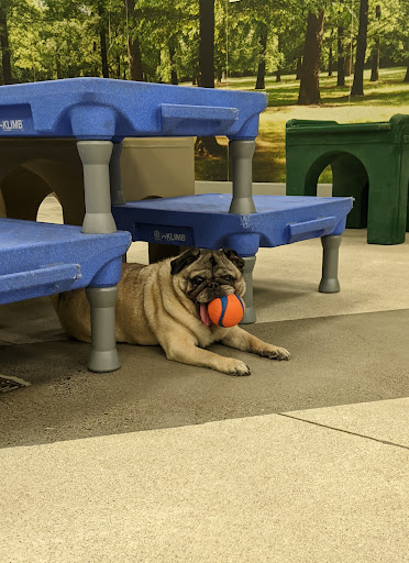 Pet Supply Store «PetSmart», reviews and photos, 1700 Willow Pass Rd, Concord, CA 94520, USA