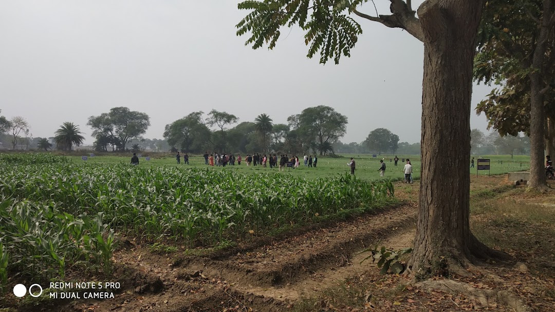 District seed farm