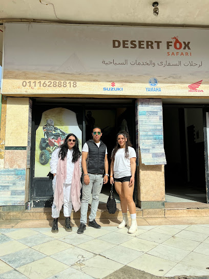 Desert fox safari رحلات البيتش باجي بمنطقه الاهرمات