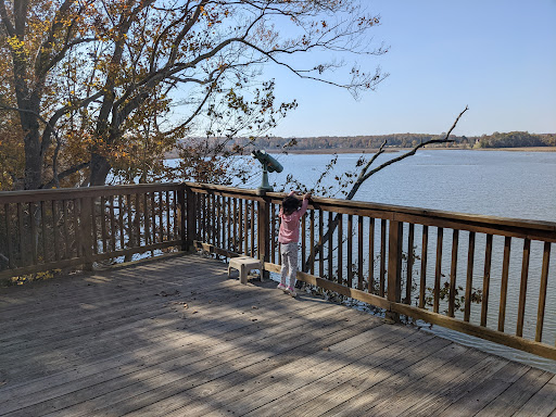 Nature Preserve «Jug Bay Wetlands Sanctuary», reviews and photos, 1361 Wrighton Rd, Lothian, MD 20711, USA