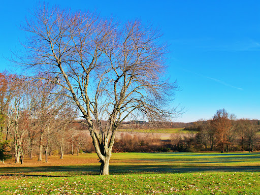 State Park «Monmouth Battlefield State Park», reviews and photos, 16 Business Route 33, Manalapan Township, NJ 07726, USA