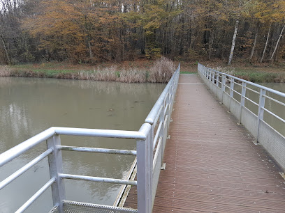 Etang de Fougemagne