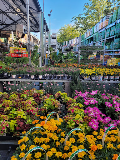 Home Improvement Store «The Home Depot», reviews and photos, 3500 Spicer Dr SE, Albany, OR 97322, USA