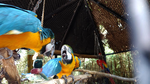 Zoo «Washington Park Zoo», reviews and photos, 115 Lake Shore Dr, Michigan City, IN 46360, USA