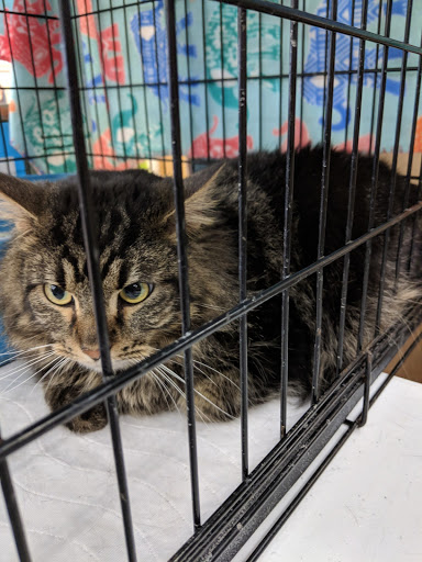 Pet Supply Store «Petco Animal Supplies», reviews and photos, 5925 US-6, Portage, IN 46368, USA