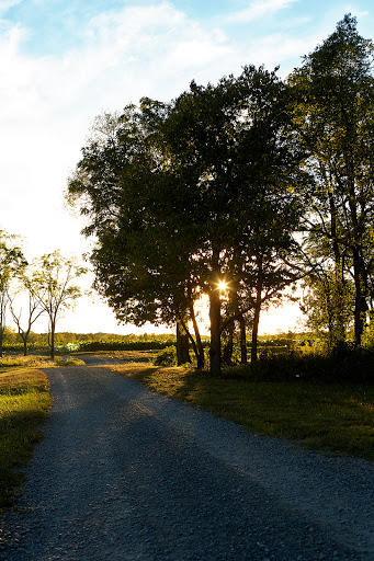 Winery «Hermann J. Wiemer Vineyard», reviews and photos, 3962 NY-14, Dundee, NY 14837, USA