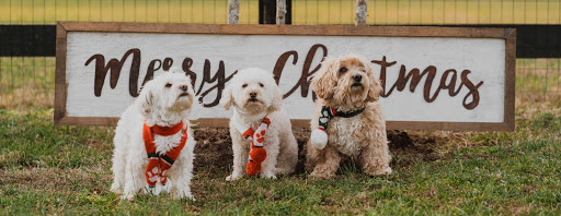 Auto Insurance Agency «Eric Stewarts Insurance Agency», reviews and photos