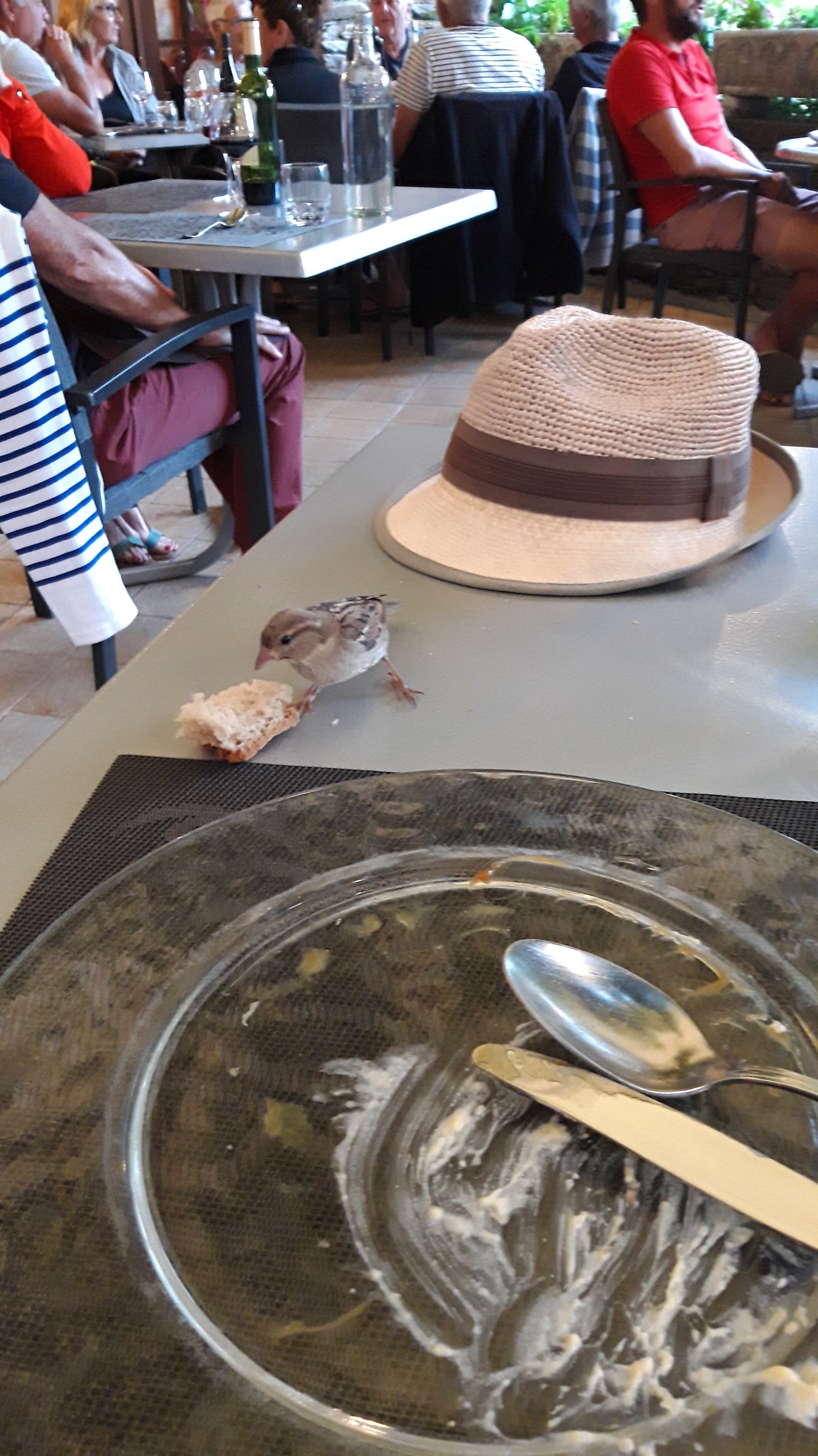 Photo n° 3 de l'avis de Pascale.. fait le 28/08/2018 à 09:49