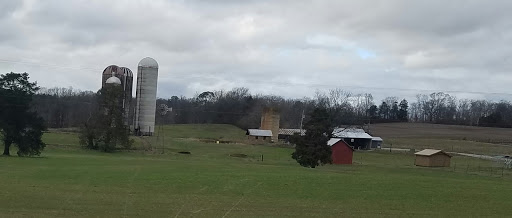 Tobacco Shop «Silo Cigars, Inc», reviews and photos, 11560 Kingston Pike, Knoxville, TN 37934, USA