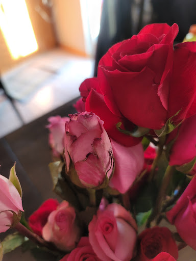 Florist «1-800-Flowers», reviews and photos, 2457 W North Ave, Melrose Park, IL 60160, USA