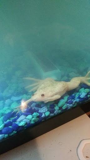 Pet Store «Slither & Swim», reviews and photos, 38 Saw Mill Rd # 16, West Haven, CT 06516, USA