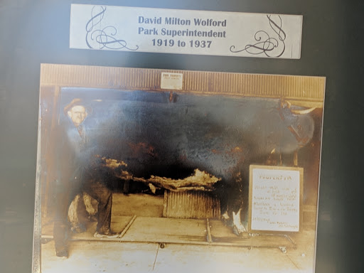 Tourist Attraction «Sycamore Stump», reviews and photos, 1402 Defenbaugh St, Kokomo, IN 46902, USA