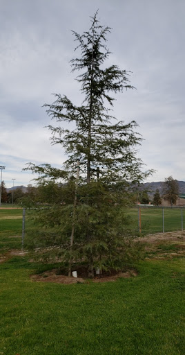 Community Center «Rancho Santa Susana Community Center», reviews and photos, 5005 E Los Angeles Ave, Simi Valley, CA 93063, USA