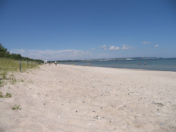 Zdjęcie Strandpanorama Prora dziki obszar