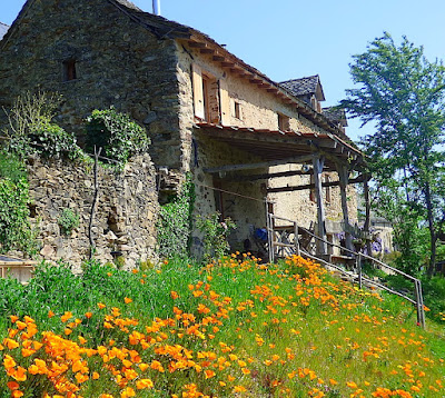 La Vie au Grand Vert, B&Bio végétarien en Aveyron-Ségala à Saint-André-de-Najac