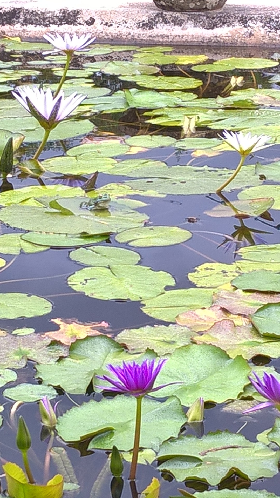 Photo n° 1 de l'avis de Sarah. fait le 16/07/2017 à 12:55