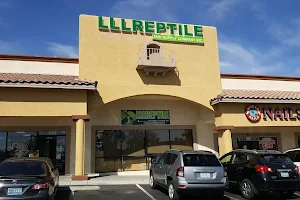 LLLReptile & Supply Las Vegas image