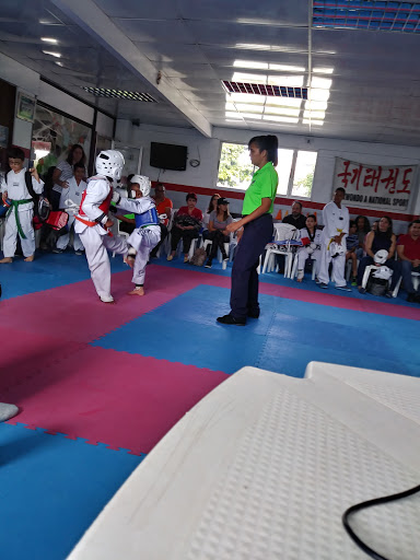 Maldonado's Taekwondo Academy