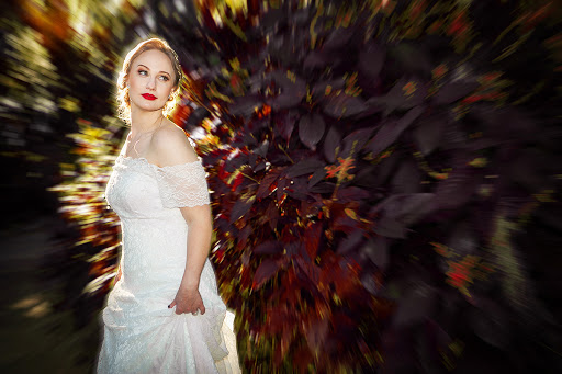 Event Venue «Tavares Pavilion on the Lake», reviews and photos, 200 S Disston Ave, Tavares, FL 32778, USA