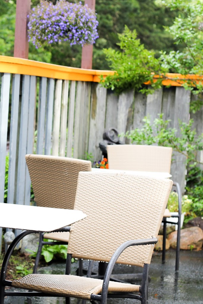 Willow St Tavern 02601