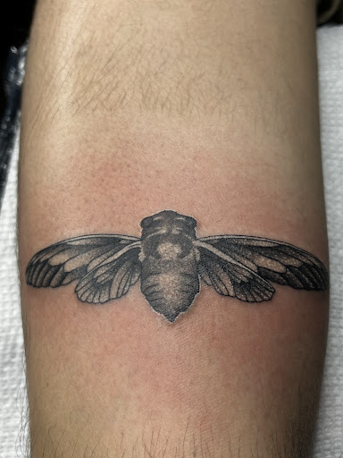 Explore constellation tattoo ideas, creative tattoo ideas in Webster, available at Mainline Ink