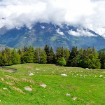 Photo n°5 de l'avis de Manfred.e fait le 13/06/2018 à 18:38 sur le  Marzoner Alm à Montefranco