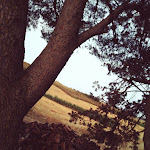 Photo n°2 de l'avis de Angela.i fait le 30/06/2021 à 06:01 sur le  La Casetta - Ristorante à Buseto Palizzolo