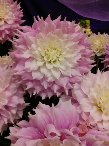 Florist «The Flower Express, Inc.», reviews and photos, 10411 NE Fourth Plain Blvd #115, Vancouver, WA 98662, USA