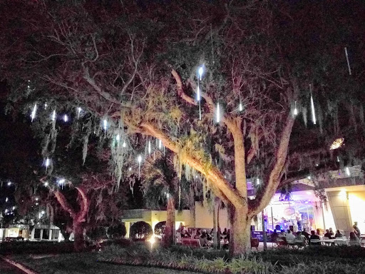 Performing Arts Theater «Riverside Theatre, Inc.», reviews and photos, 3250 Riverside Park Dr, Vero Beach, FL 32963, USA