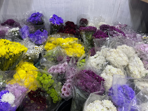 تولب أبيض للزهور 