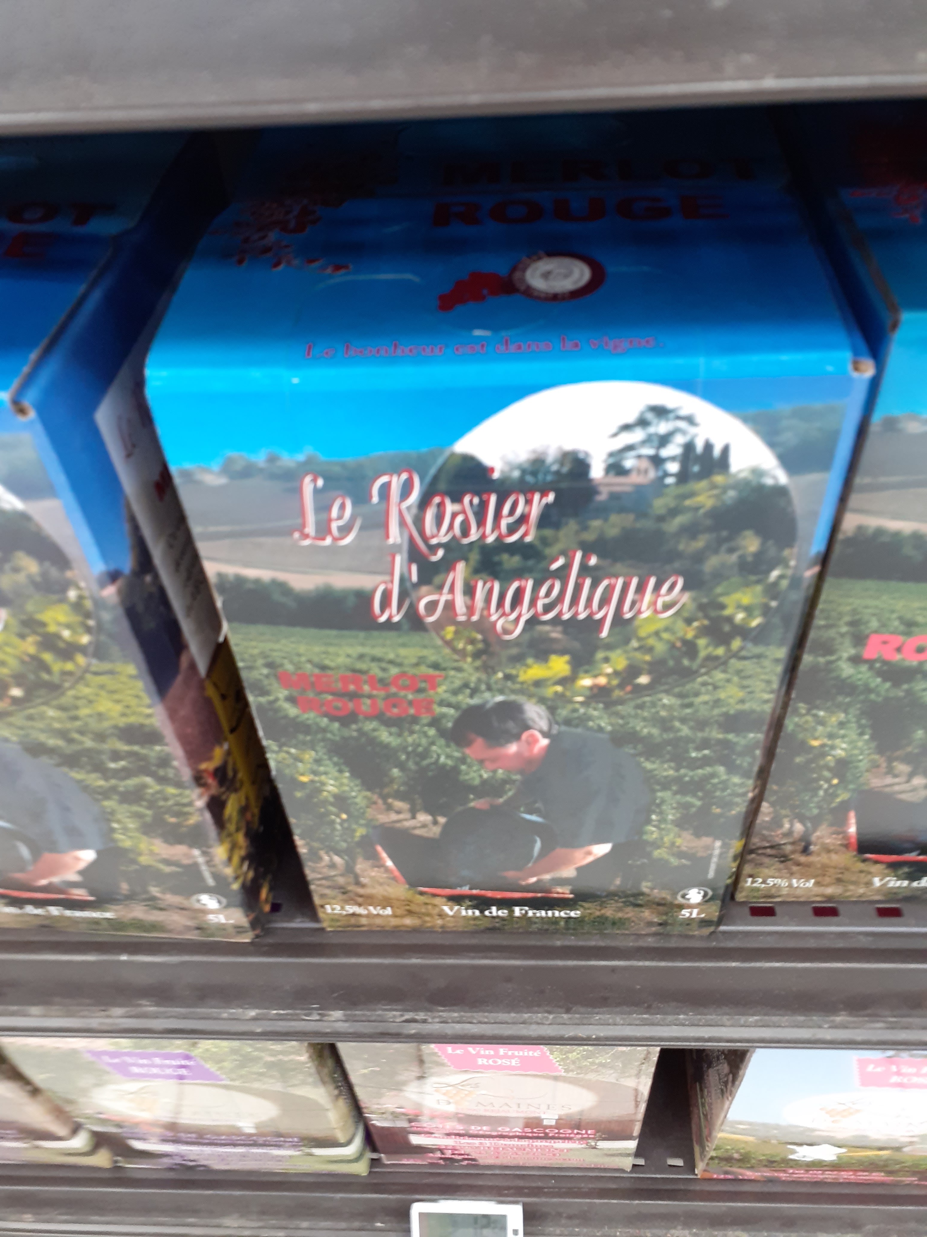 Photo n° 5 de l'avis de Girol.e fait le 25/06/2020 à 15:02