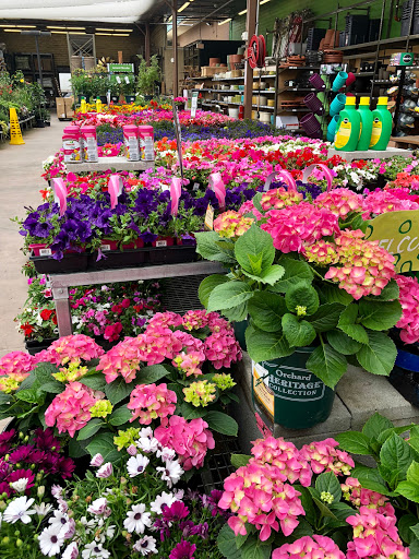 Hardware Store «Orchard Supply Hardware», reviews and photos, 300 Floresta Blvd, San Leandro, CA 94578, USA