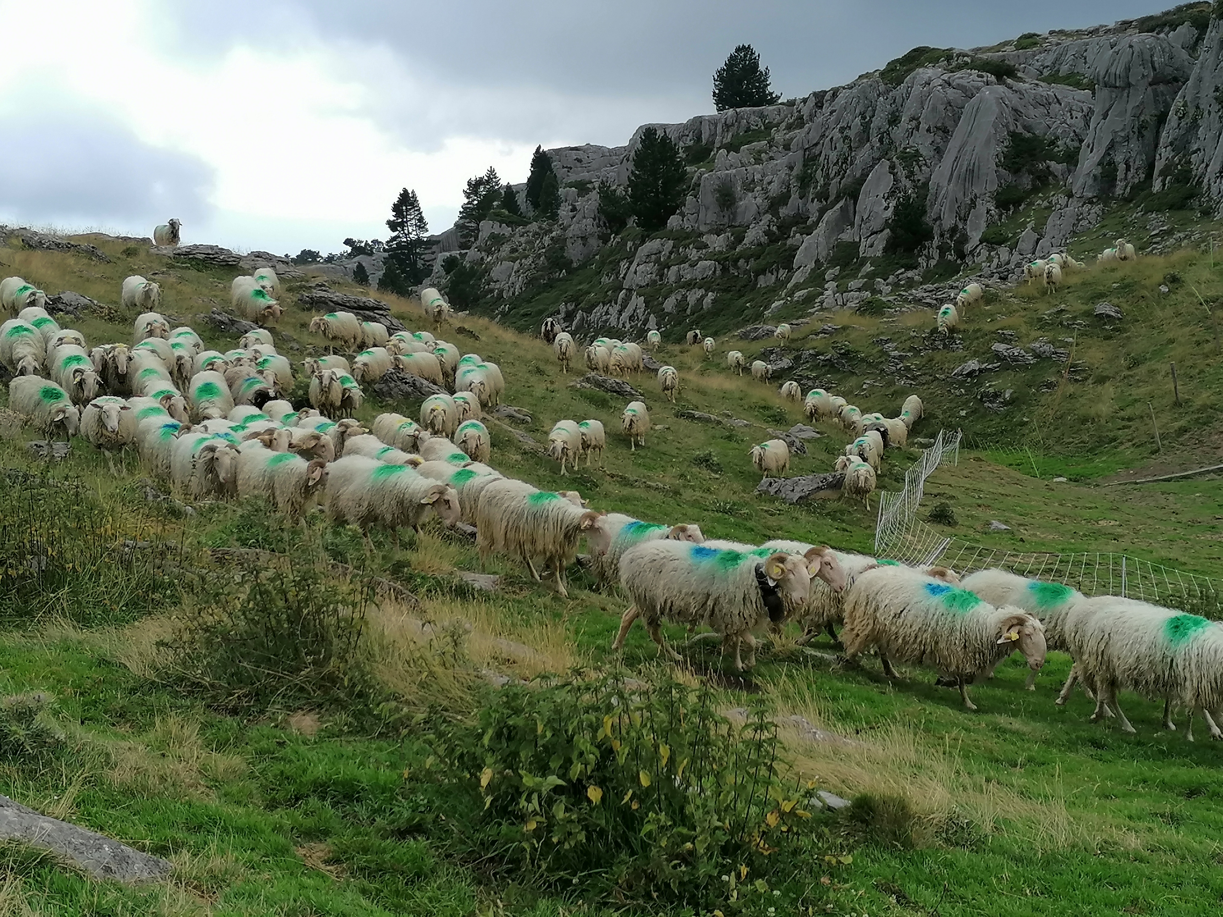 Photo n° 3 de l'avis de Dex.� fait le 23/07/2020 à 19:05