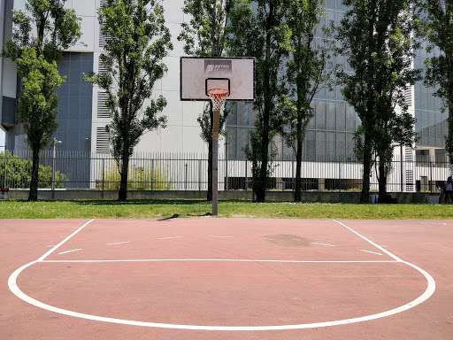 Campetti da basket - Bensi