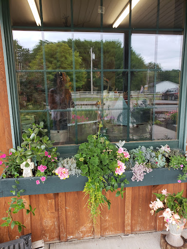 Produce Market «Rush Vegetables», reviews and photos, 2120 Eagle Harbor Waterport Rd, Albion, NY 14411, USA