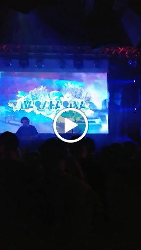 Lounge «Nectar Lounge», reviews and photos, 412 N 36th St, Seattle, WA 98103, USA