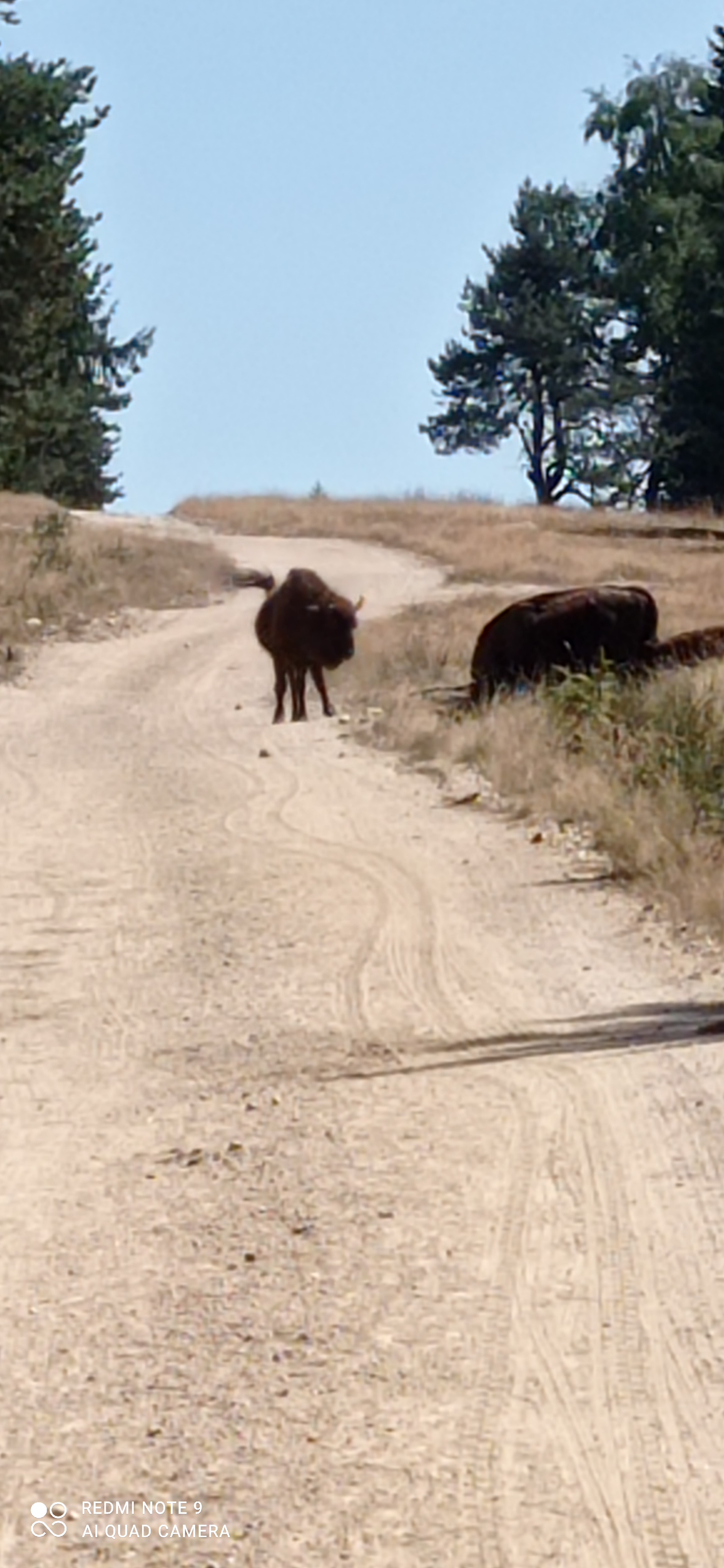 Photo n° 2 de l'avis de Celine.a fait le 15/08/2022 à 17:43