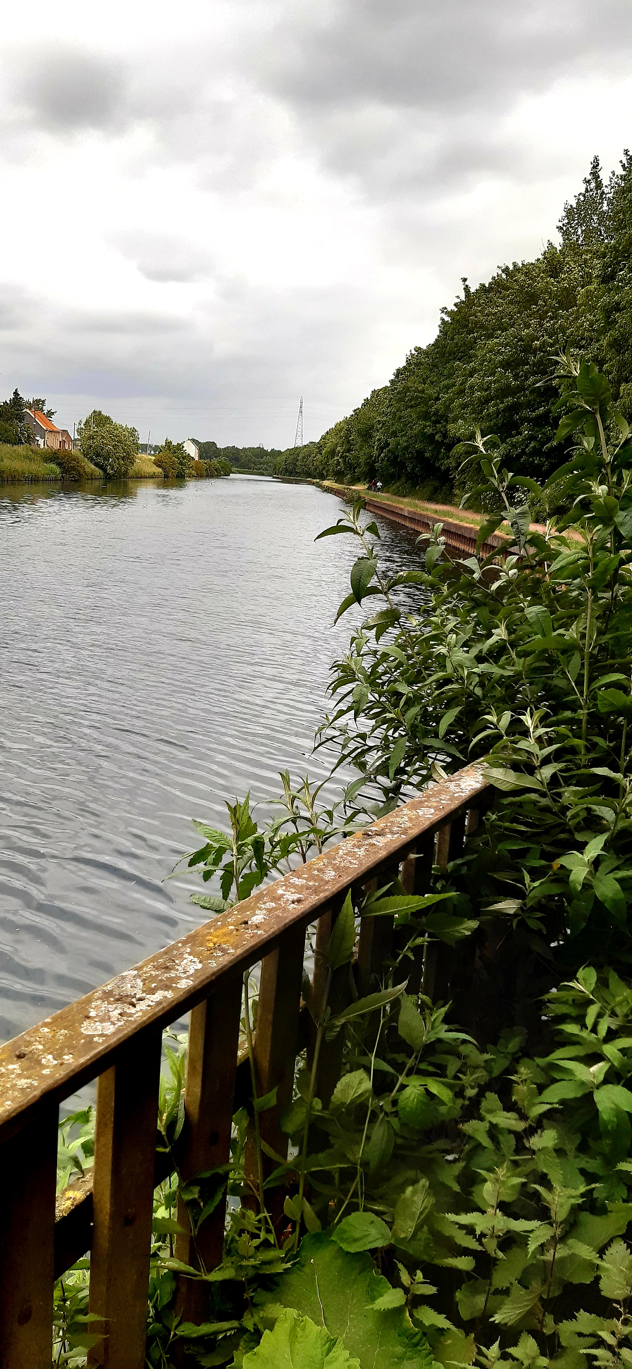 Photo n° 21 de l'avis de Lore.e fait le 24/05/2020 à 16:12