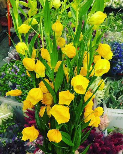 Florist «Potomac Wholesaler», reviews and photos, 2403 Linden Ln, Silver Spring, MD 20910, USA