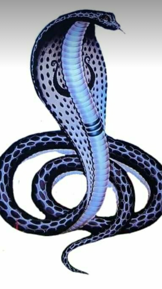 રાજા ગોગા વાળા ફોર્મ