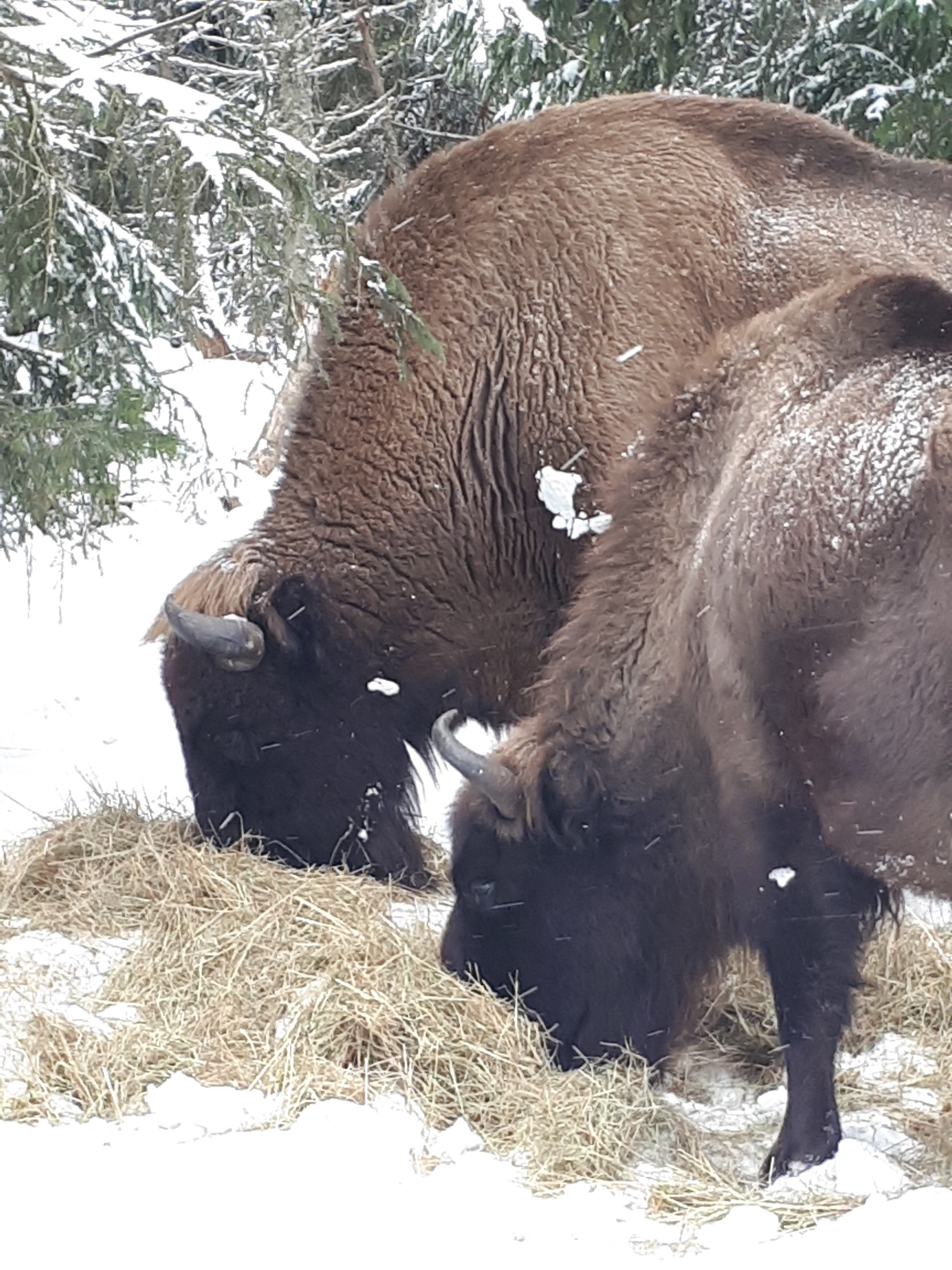 Photo n° 6 de l'avis de Romain.o fait le 26/02/2018 à 13:20